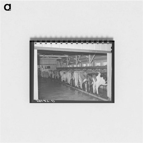 アートメモ帳-Kansas Truck Stop
 - ラッセル リー Memo.