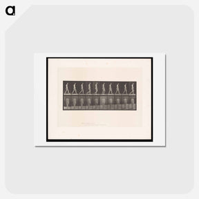 アートポストカード-Naked Woman Walking
 - エドワード マイブリッジ Postcard.