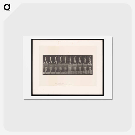 アートポストカード-Naked Woman Walking
 - エドワード マイブリッジ Postcard.