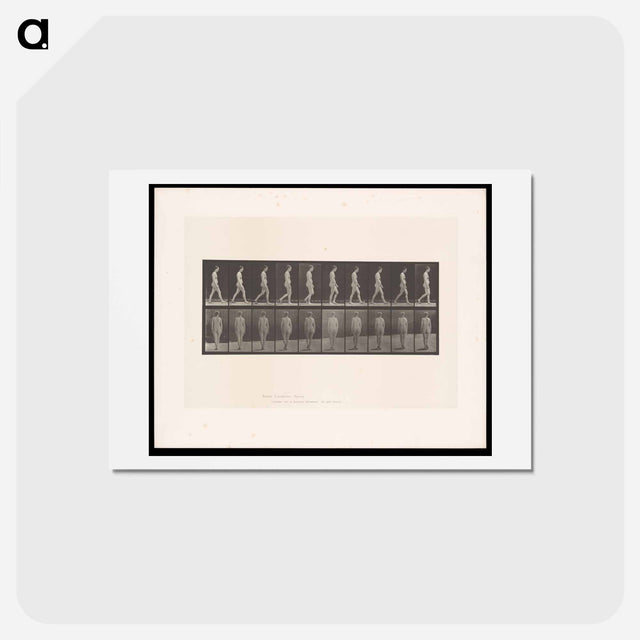 アートポストカード-Naked Woman Walking
 - エドワード マイブリッジ Postcard.