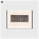 アートポストカード-Naked Woman Walking
 - エドワード マイブリッジ Postcard.