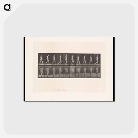 アートポストカード-Naked Woman Walking
 - エドワード マイブリッジ Postcard.