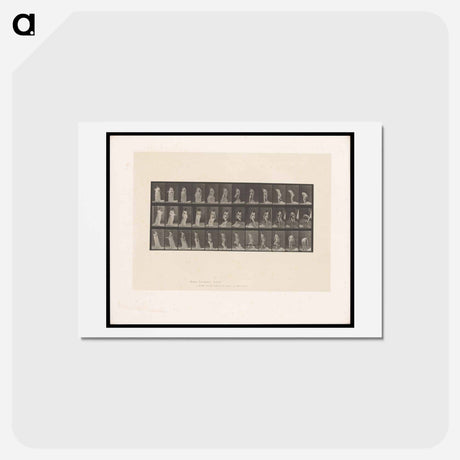 アートポストカード-Nude Descending
 - エドワード マイブリッジ Postcard.