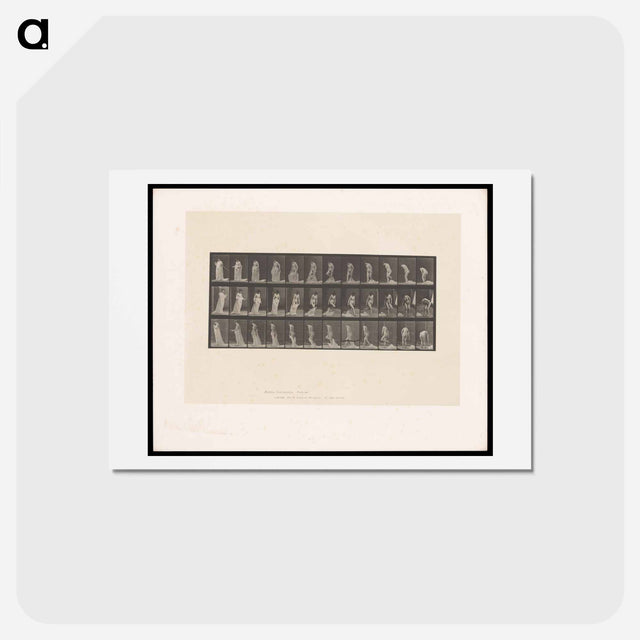 アートポストカード-Nude Descending
 - エドワード マイブリッジ Postcard.
