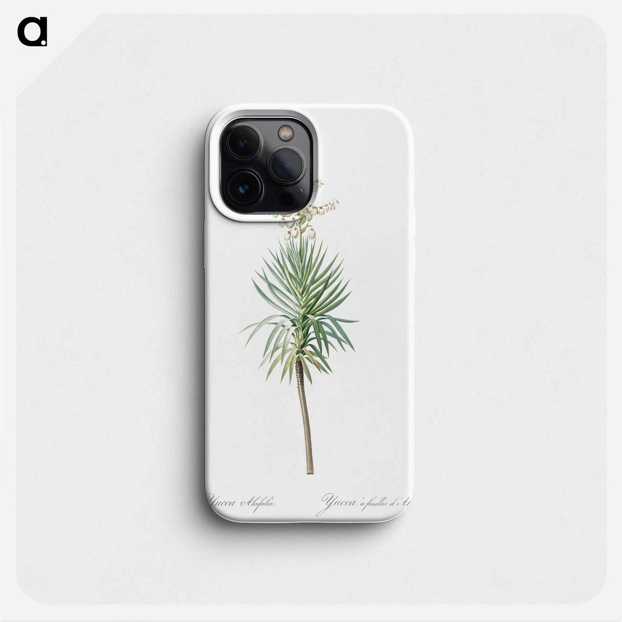 Aloe yucca illustration - ピエール ジョゼフ ルドゥーテ Phone Case.