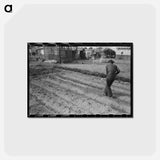 アートポストカード-Camelback Farms Garden
 - ラッセル リー Postcard.
