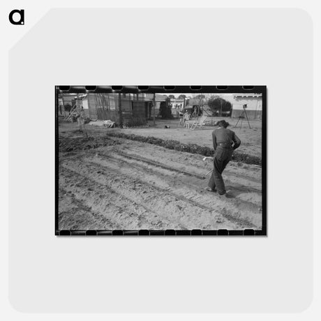 アートポストカード-Camelback Farms Garden
 - ラッセル リー Postcard.
