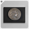 アートパネル-Head of Ptolemy I
 - セントルイス美術館 Canvas.