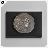 アートパネル-Head of Ptolemy I
 - セントルイス美術館 Canvas.