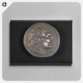 アートパネル-Head of Ptolemy I
 - セントルイス美術館 Canvas.