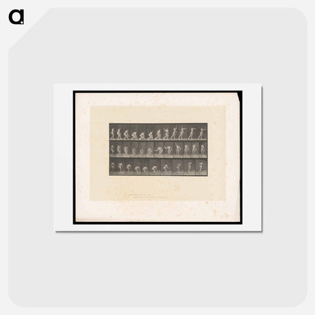 アートポストカード-Woman Throwing a Ball
 - エドワード マイブリッジ Postcard.