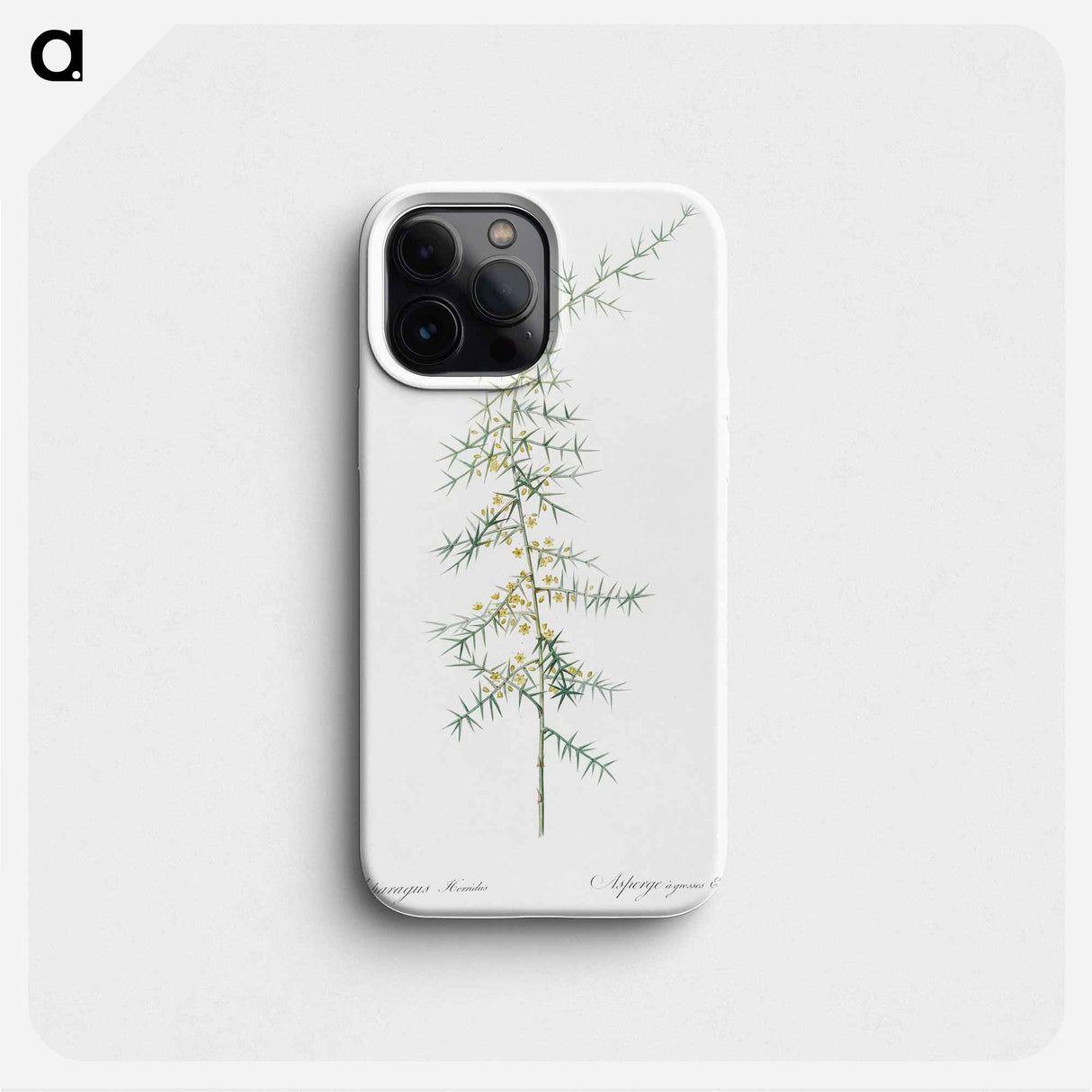 Asparagus horridus - ピエール ジョゼフ ルドゥーテ Phone Case.