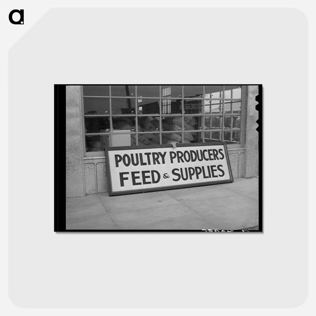 アートポストカード-Poultry Supplies
 - ラッセル リー Postcard.