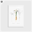 アートポストカード-Iris Persica - ピエール ジョゼフ ルドゥーテ Postcard.