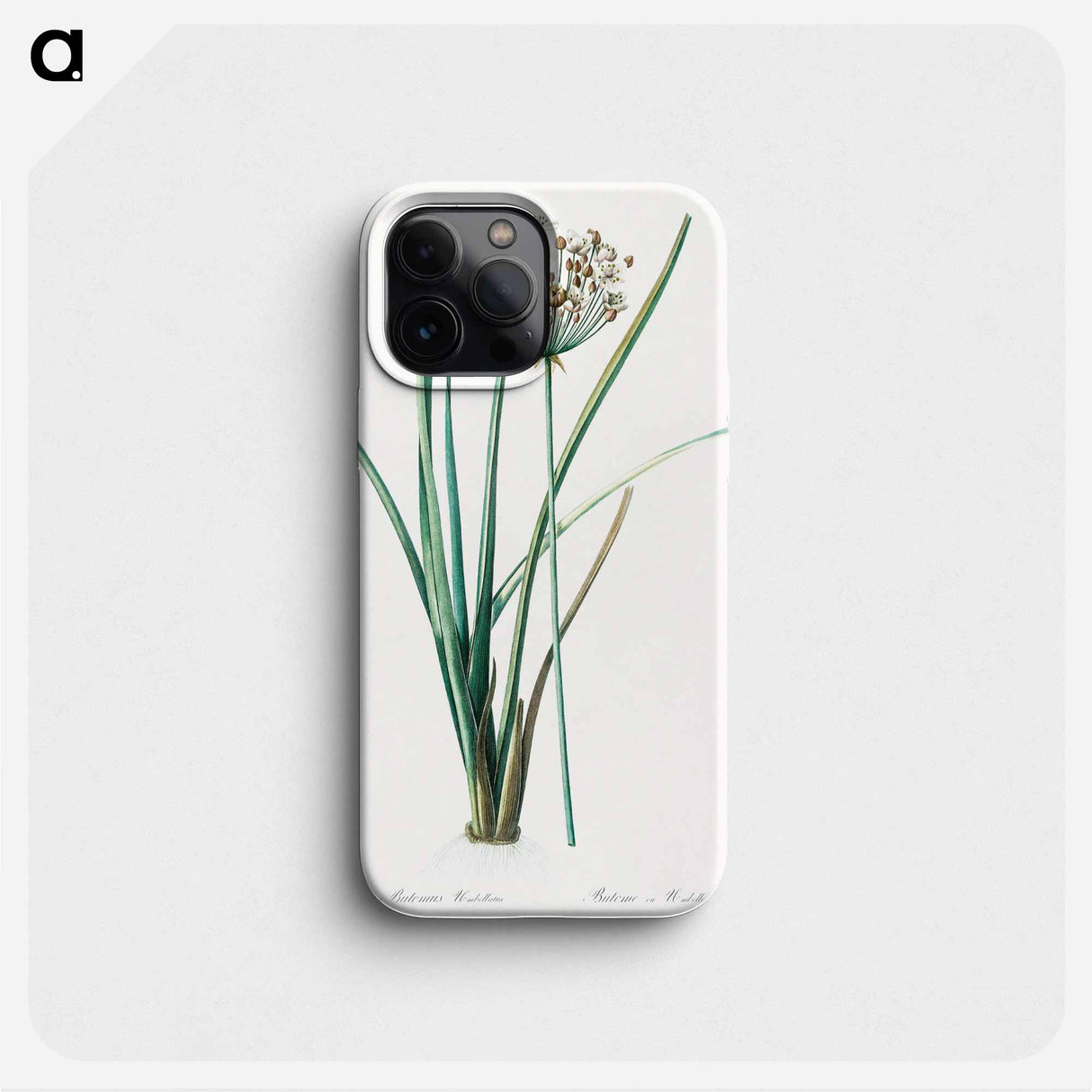 Flowering rush - Pierre Joseph Redouté Phone Case.