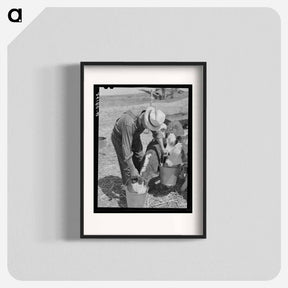 アートポスター-Feeding Calves, Baca County
 - ラッセル リー Poster.