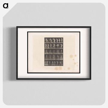 Rugby Motion
 - エドワード マイブリッジ Poster.