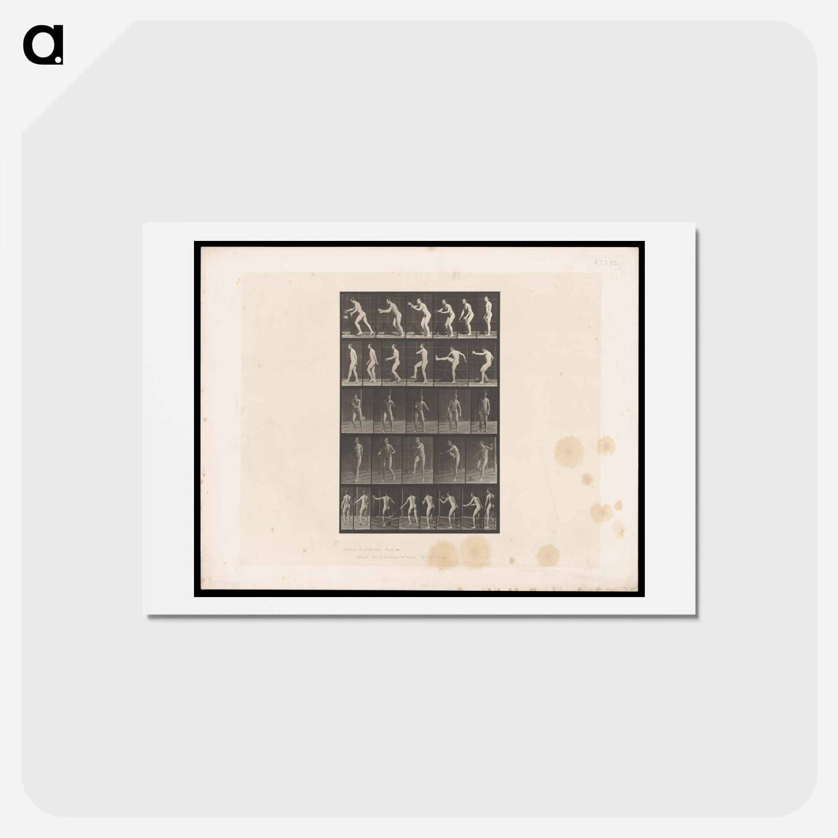 アートポストカード-Rugby Motion
 - エドワード マイブリッジ Postcard.