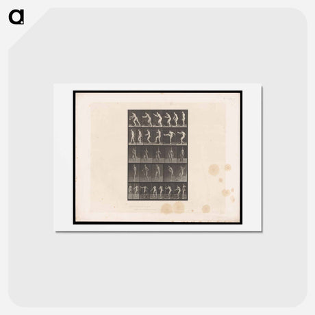 アートポストカード-Rugby Motion
 - エドワード マイブリッジ Postcard.