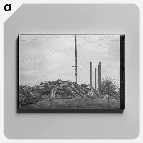 アートパネル-Mules in Eufaula
 - ラッセル リー Canvas.