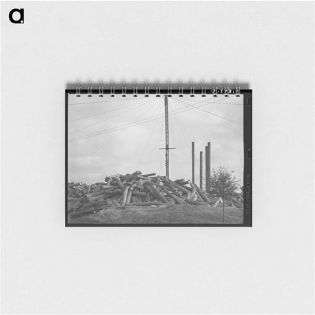 アートメモ帳-Mules in Eufaula
 - ラッセル リー Memo.