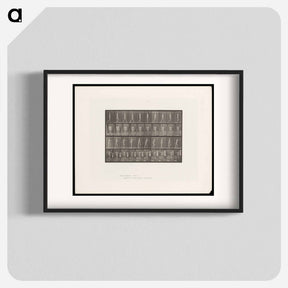 アートポスター-Man Walking
 - エドワード マイブリッジ Poster.