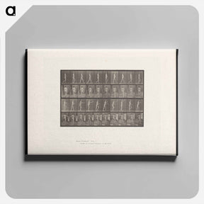 アートパネル-Man Walking
 - エドワード マイブリッジ Canvas.