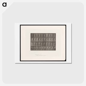 アートポストカード-Man Walking
 - エドワード マイブリッジ Postcard.