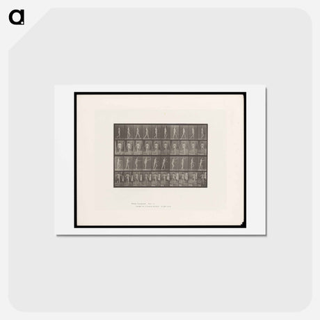 アートポストカード-Man Walking
 - エドワード マイブリッジ Postcard.