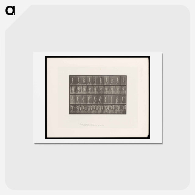 アートポストカード-Man Walking
 - エドワード マイブリッジ Postcard.