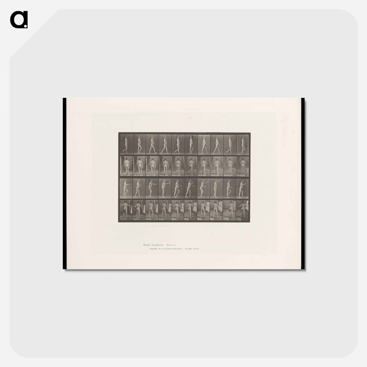 アートポストカード-Man Walking
 - エドワード マイブリッジ Postcard.