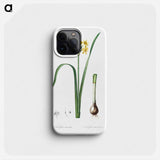 Cowslip cupped daffodil illustration - ピエール ジョゼフ ルドゥーテ Phone Case.