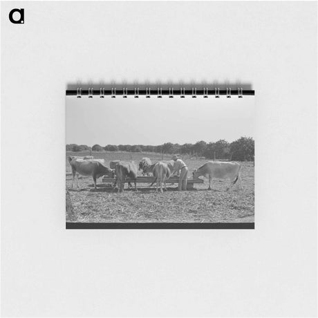 アートメモ帳-Salmon, Idaho Sign
 - ラッセル リー Memo.