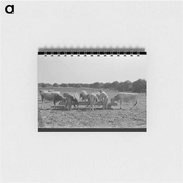 アートメモ帳-Salmon, Idaho Sign
 - ラッセル リー Memo.