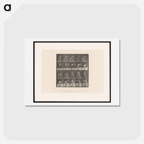 アートポストカード-The Throw
 - エドワード マイブリッジ Postcard.
