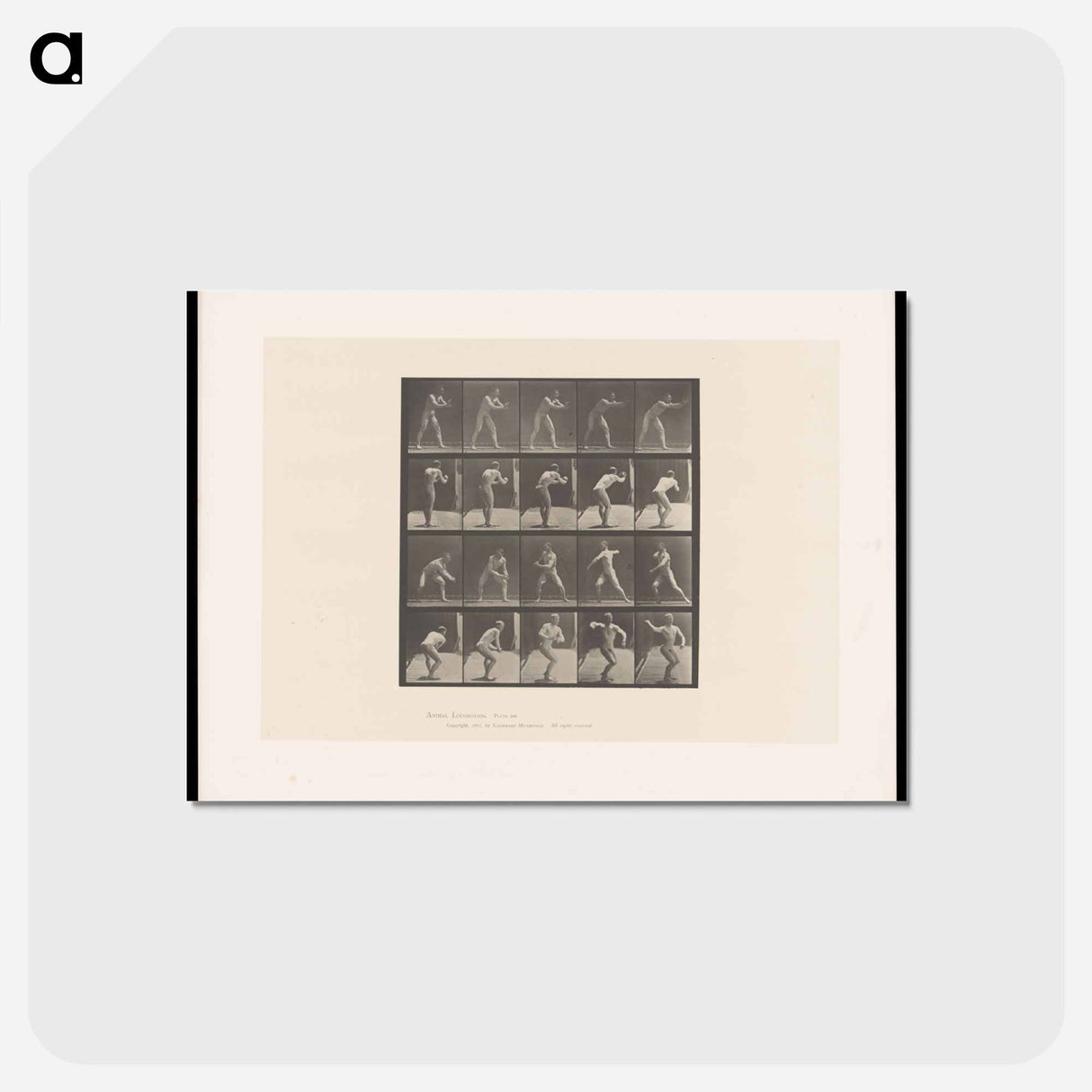アートポストカード-The Throw
 - エドワード マイブリッジ Postcard.