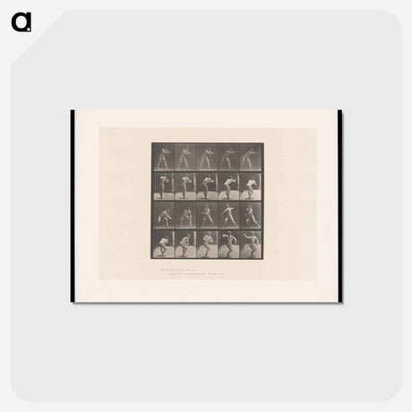 アートポストカード-The Throw
 - エドワード マイブリッジ Postcard.