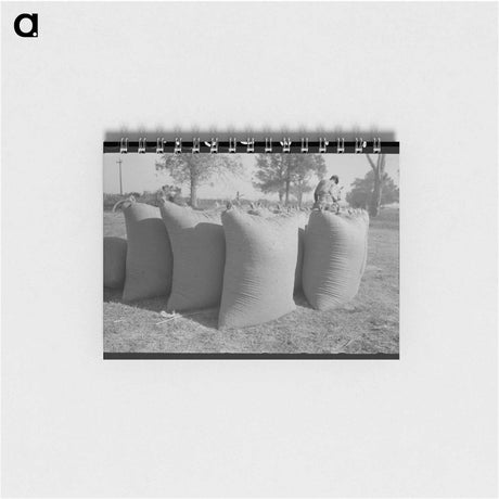 アートメモ帳-Anaconda Copper Refinery
 - ラッセル リー Memo.