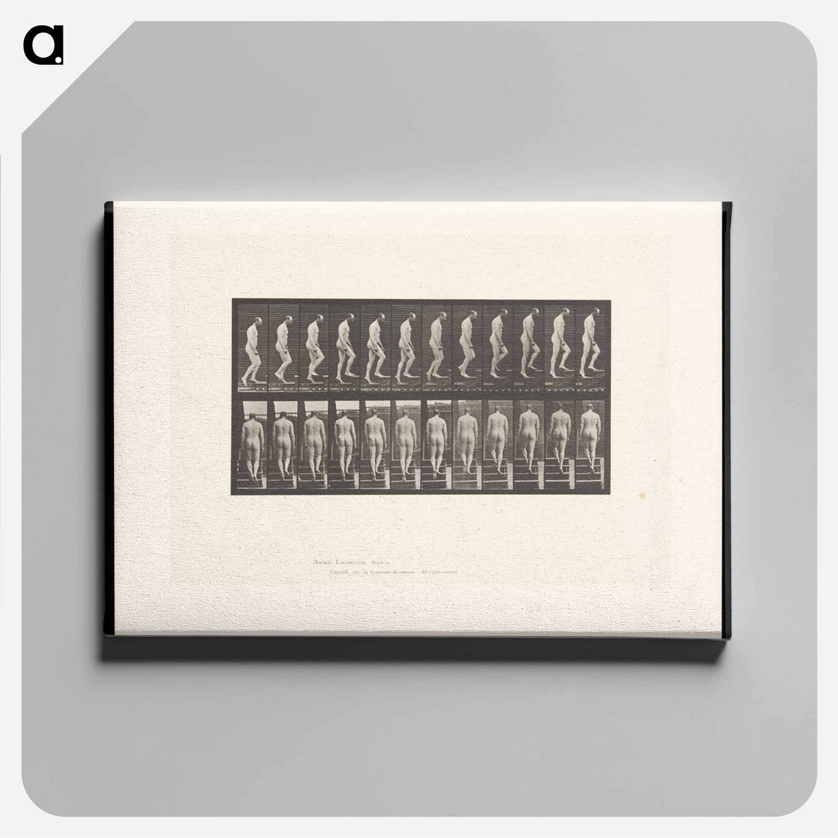 アートパネル-Naked Man Ascending Stairs
 - エドワード マイブリッジ Canvas.