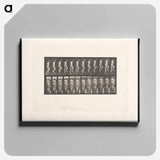 アートパネル-Naked Man Ascending Stairs
 - エドワード マイブリッジ Canvas.