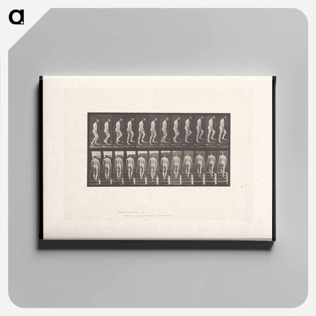 アートパネル-Naked Man Ascending Stairs
 - エドワード マイブリッジ Canvas.