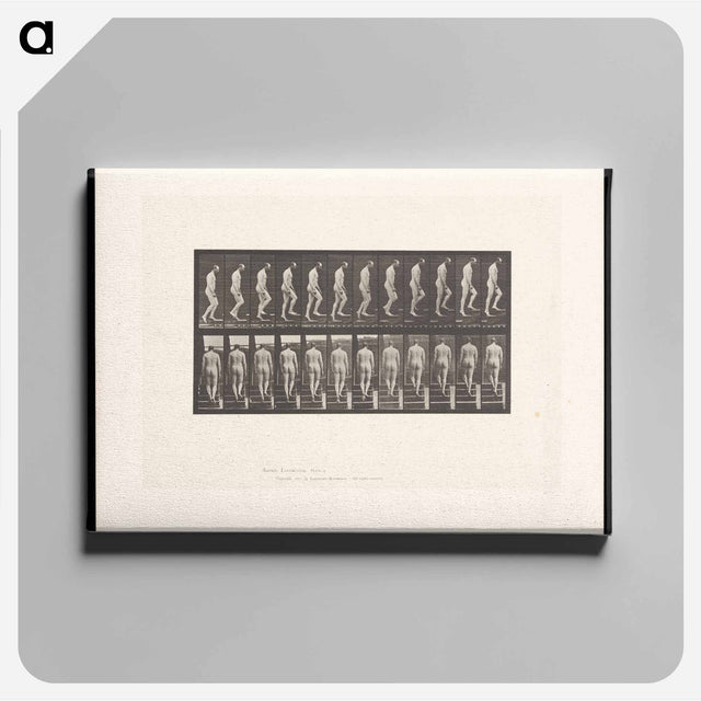 アートパネル-Naked Man Ascending Stairs
 - エドワード マイブリッジ Canvas.