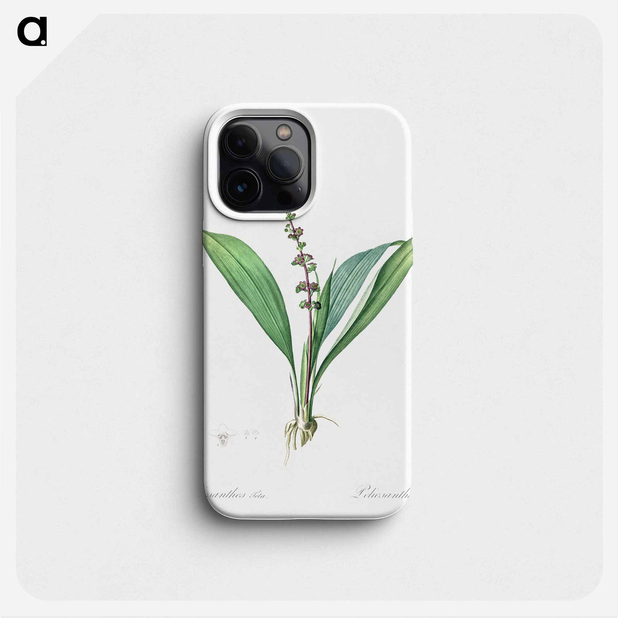 Peliosanthes teta illustration from Les liliacées - Pierre Joseph Redouté Phone Case.
