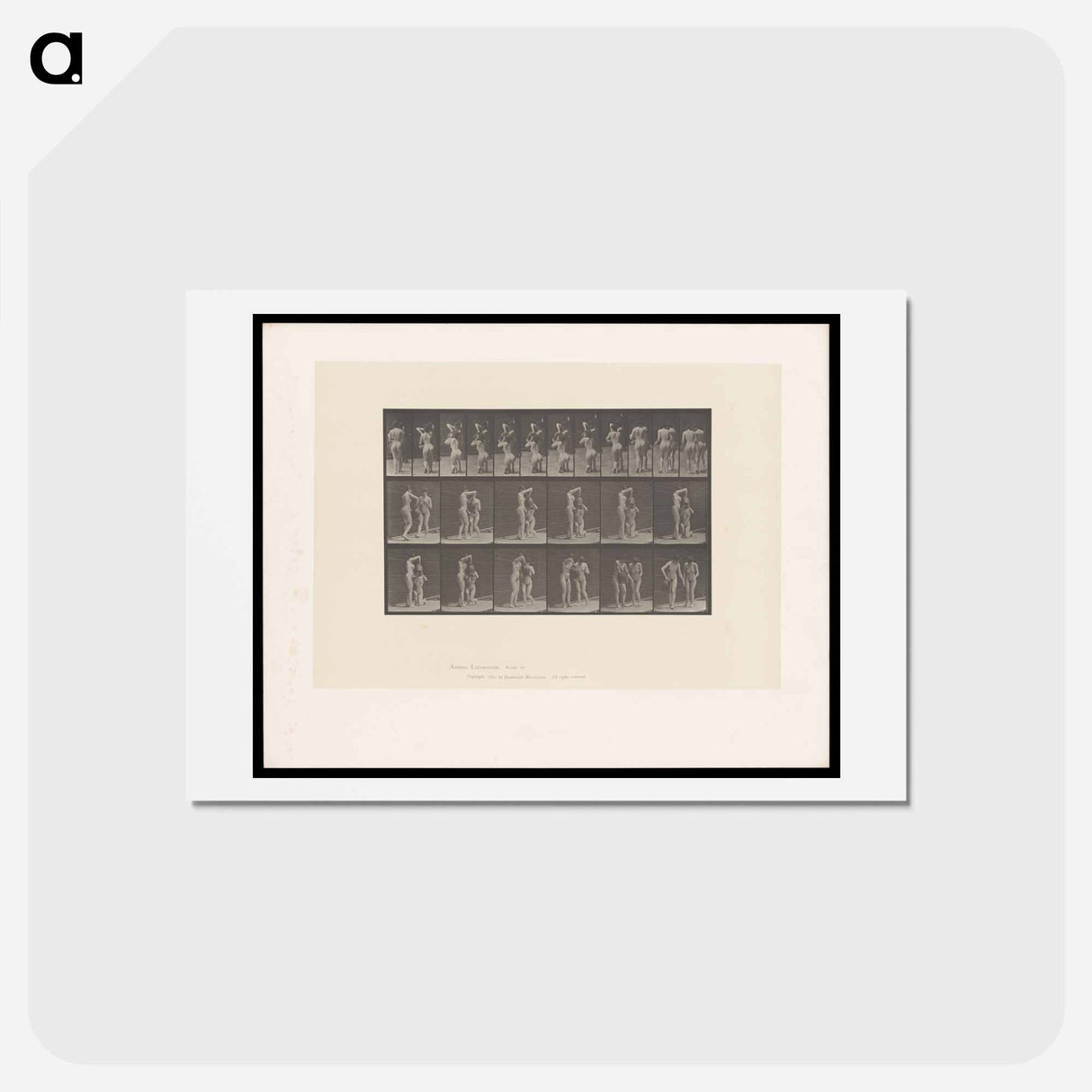 アートポストカード-Water Jug
 - エドワード マイブリッジ Postcard.