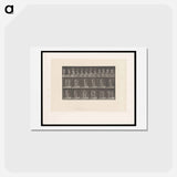 アートポストカード-Water Jug
 - エドワード マイブリッジ Postcard.
