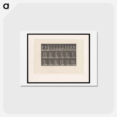 アートポストカード-Water Jug
 - エドワード マイブリッジ Postcard.