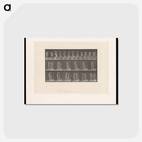 アートポストカード-Water Jug
 - エドワード マイブリッジ Postcard.