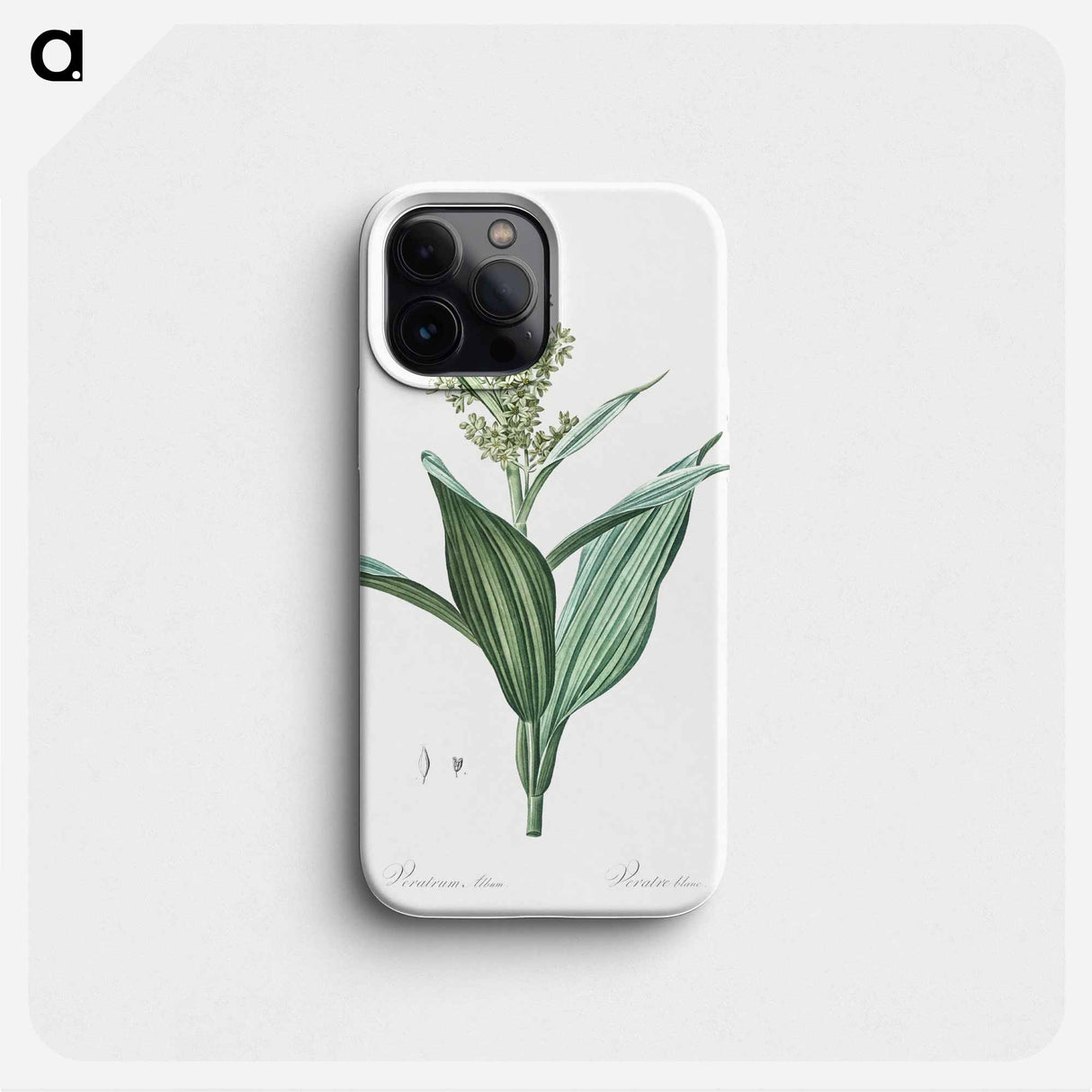 False helleborine illustration - ピエール ジョゼフ ルドゥーテ Phone Case.