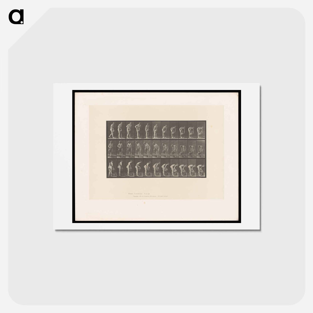 アートポストカード-Water Bearer
 - エドワード マイブリッジ Postcard.