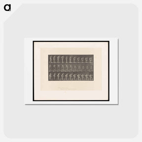 アートポストカード-Water Bearer
 - エドワード マイブリッジ Postcard.